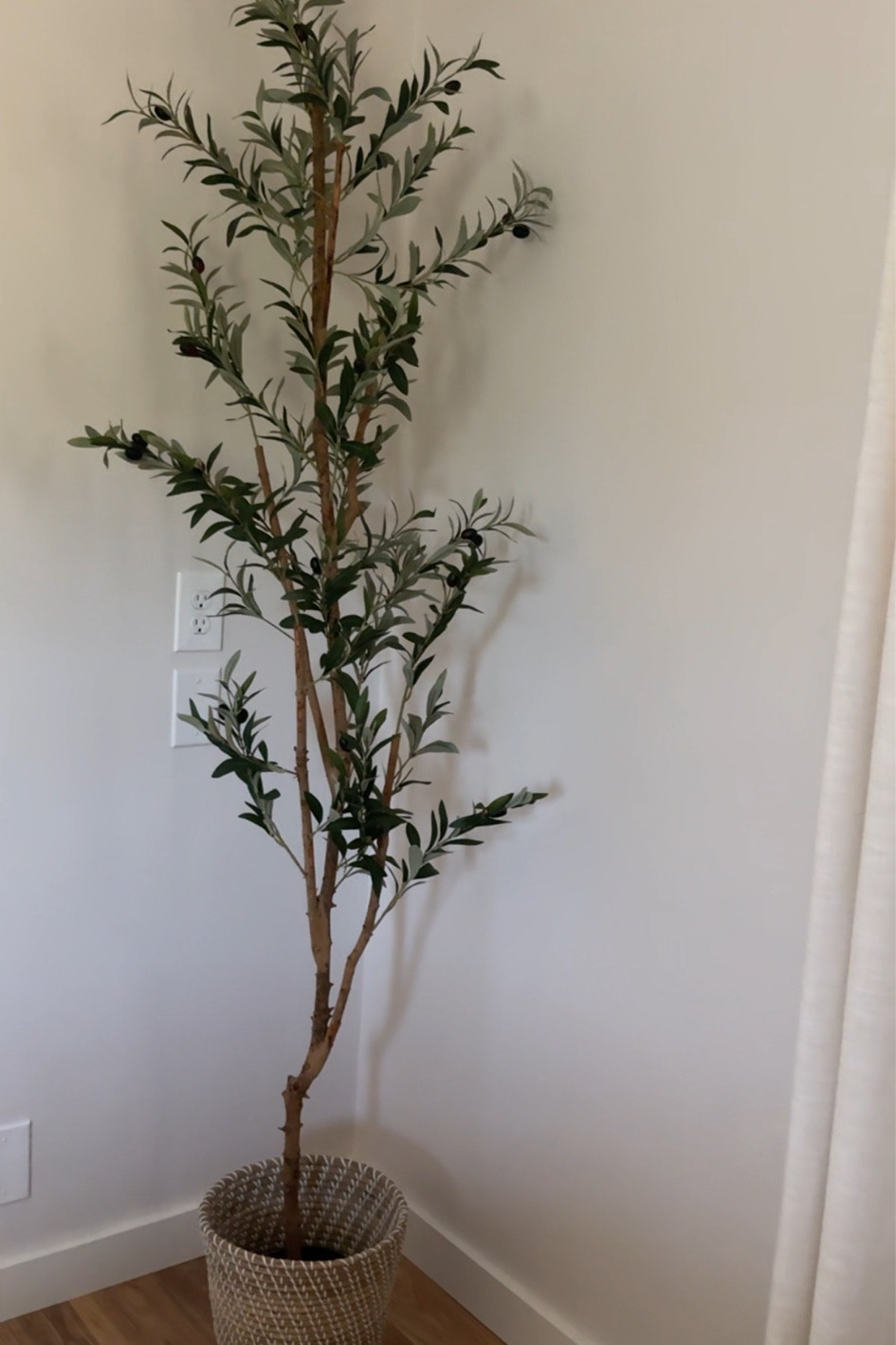 Amazon Prime day deal! My faux olive tree is on sale for under $60! Home decor on sale, Amazon sales 

#LTKFindsUnder100 #LTKSaleAlert #LTKHome