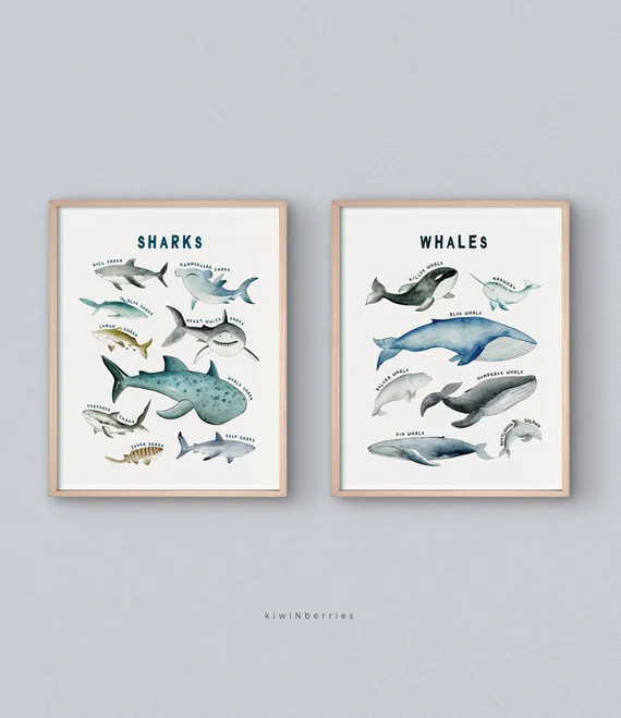 Sharks and Whales Chart Print Boys Room Decor Printable | Etsy | Etsy (US)