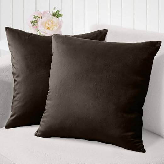 The Connecticut Home Company Velvet Throw Pillow Covers, 24x24 Set of 2, Soft Decorative Square P... | Amazon (US)