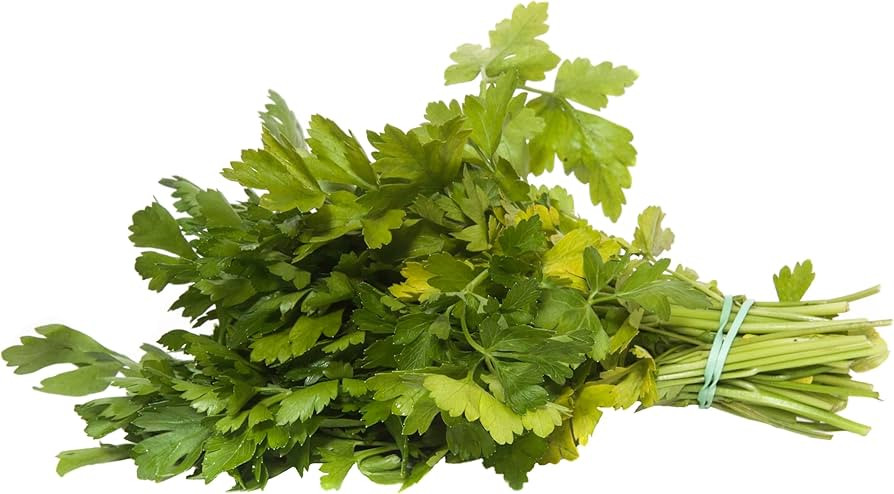 Organic Basil, 0.5 Ounce | Amazon (US)