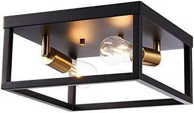 CO-Z Open Cage Ceiling Light for 2*60W Bulbs | 27cm Modern Industrial Metal Cage Room Light | Flu... | Amazon (CA)