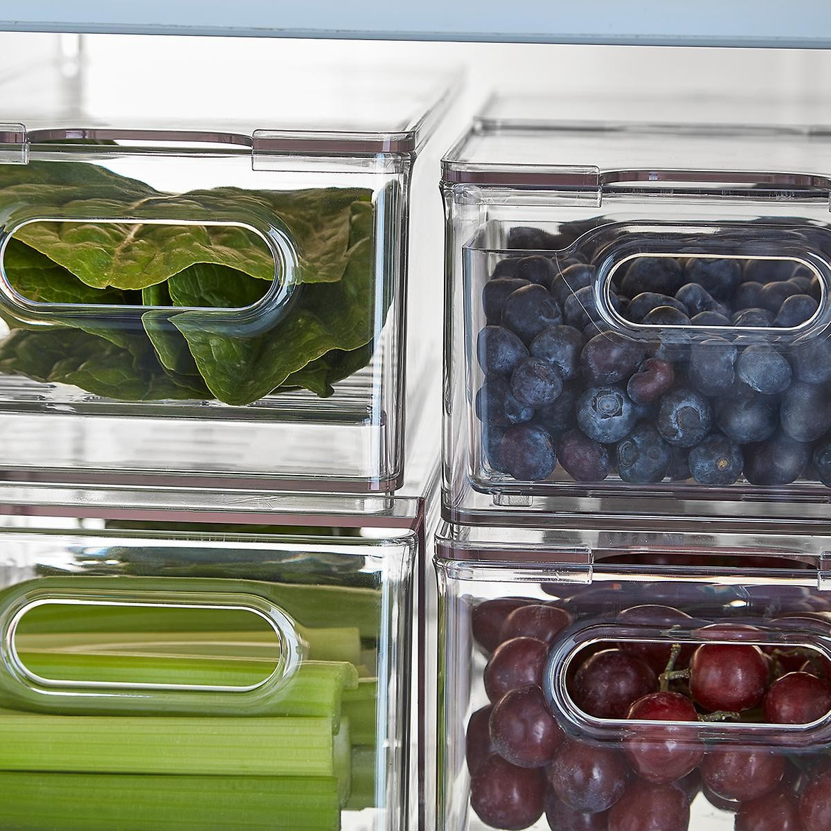 THE HOME EDIT T.H.E. Egg Bin Clear | The Container Store