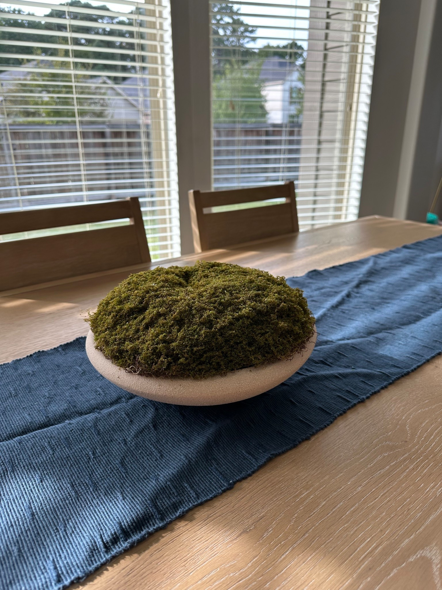 LOVE my moss bowl!

#targetfinds

#LTKFindsUnder50 #LTKHome