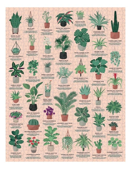 House of Plants 1000 Piece Jigsaw Puzzle | Myer