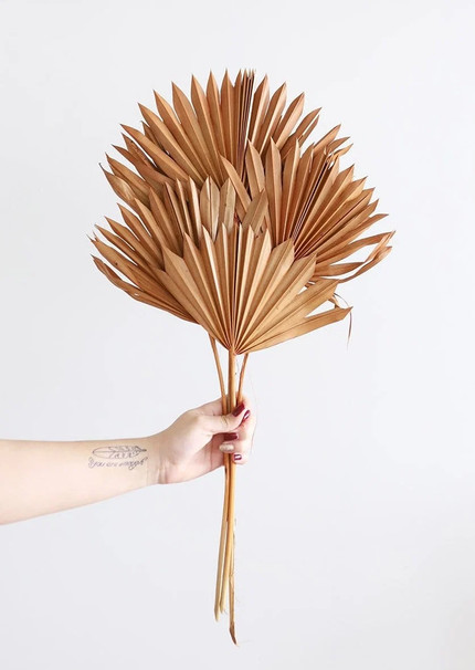 Click for more info about Rustic Orange Sun Palm Leaves | Dried Sun Palms | Afloral.com