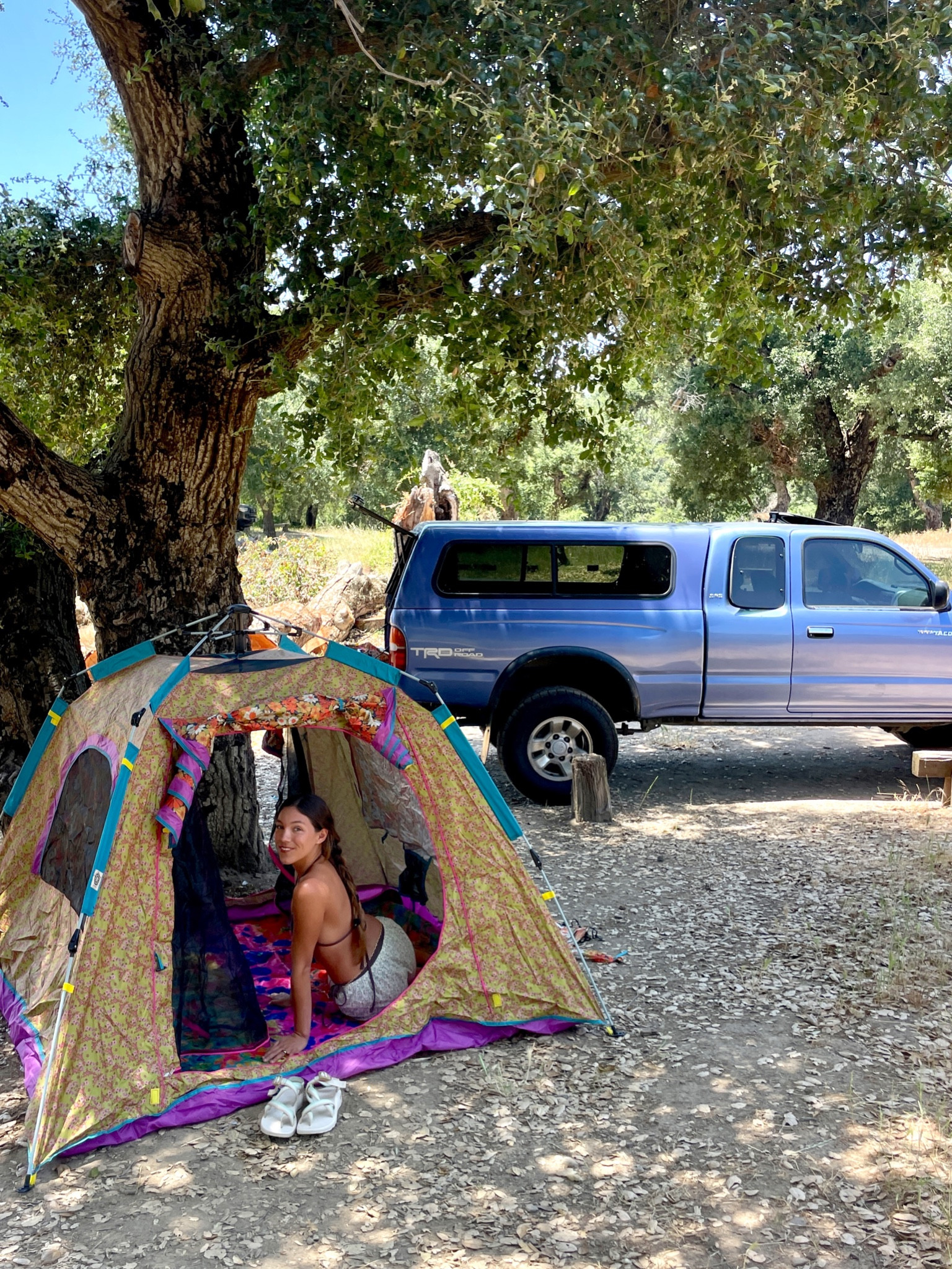 the tent I have literally been manifesting 🌸🩵🧚