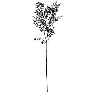 2.5ft. Black Fern Stem by Ashland® | Michaels | Michaels Stores