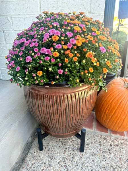 "Outdoor perfection with my beautiful pot and tri-color mums!"

#LTKhome