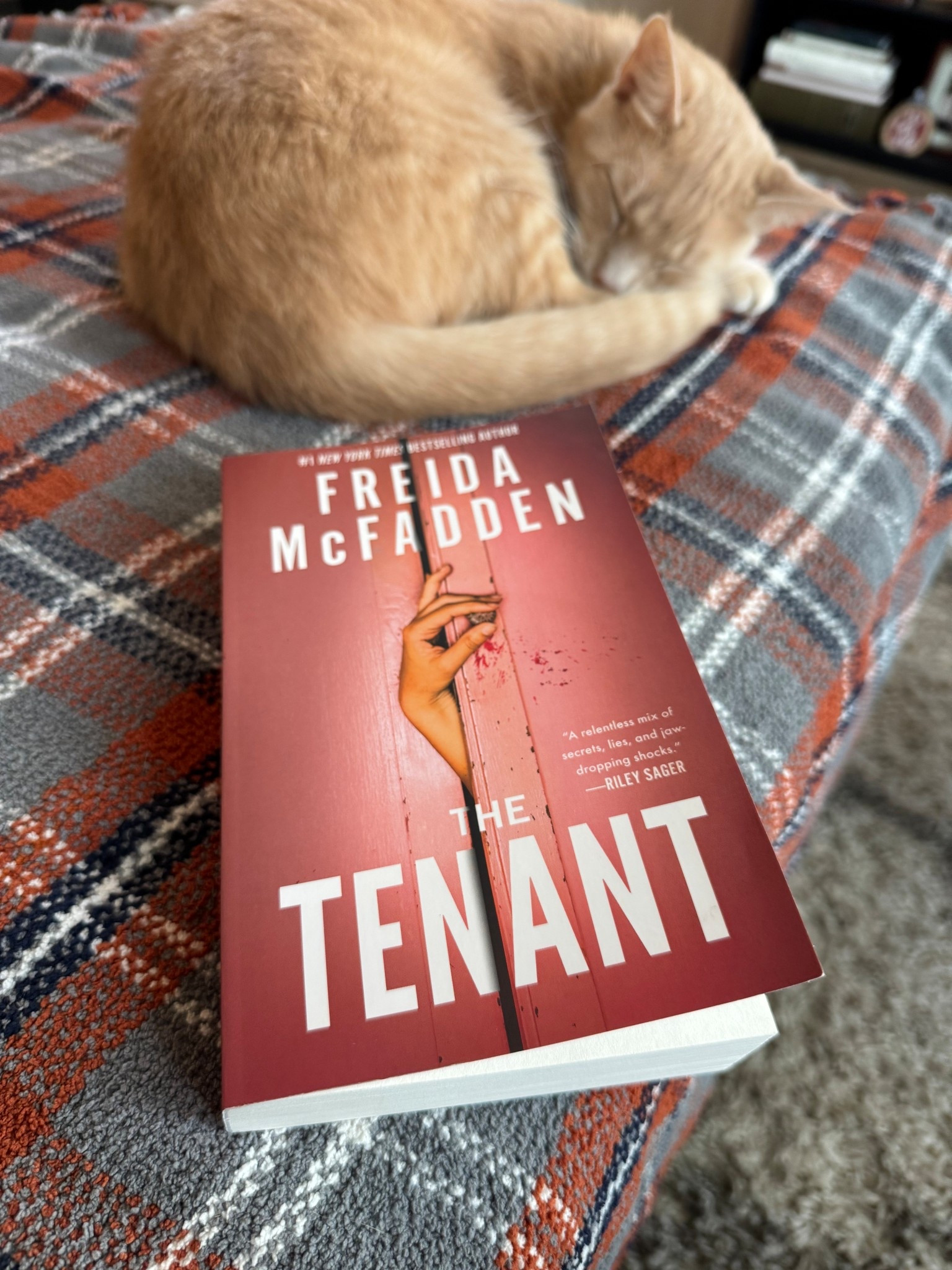 Finished today

⭐️⭐️⭐️⭐️⭐️

So good

#LTKGiftGuide