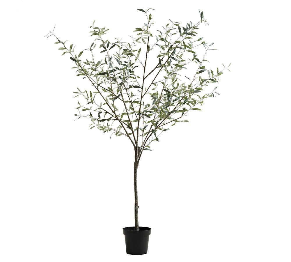 Faux Potted Olive Tree, 7 Ft. | Pottery Barn (US)