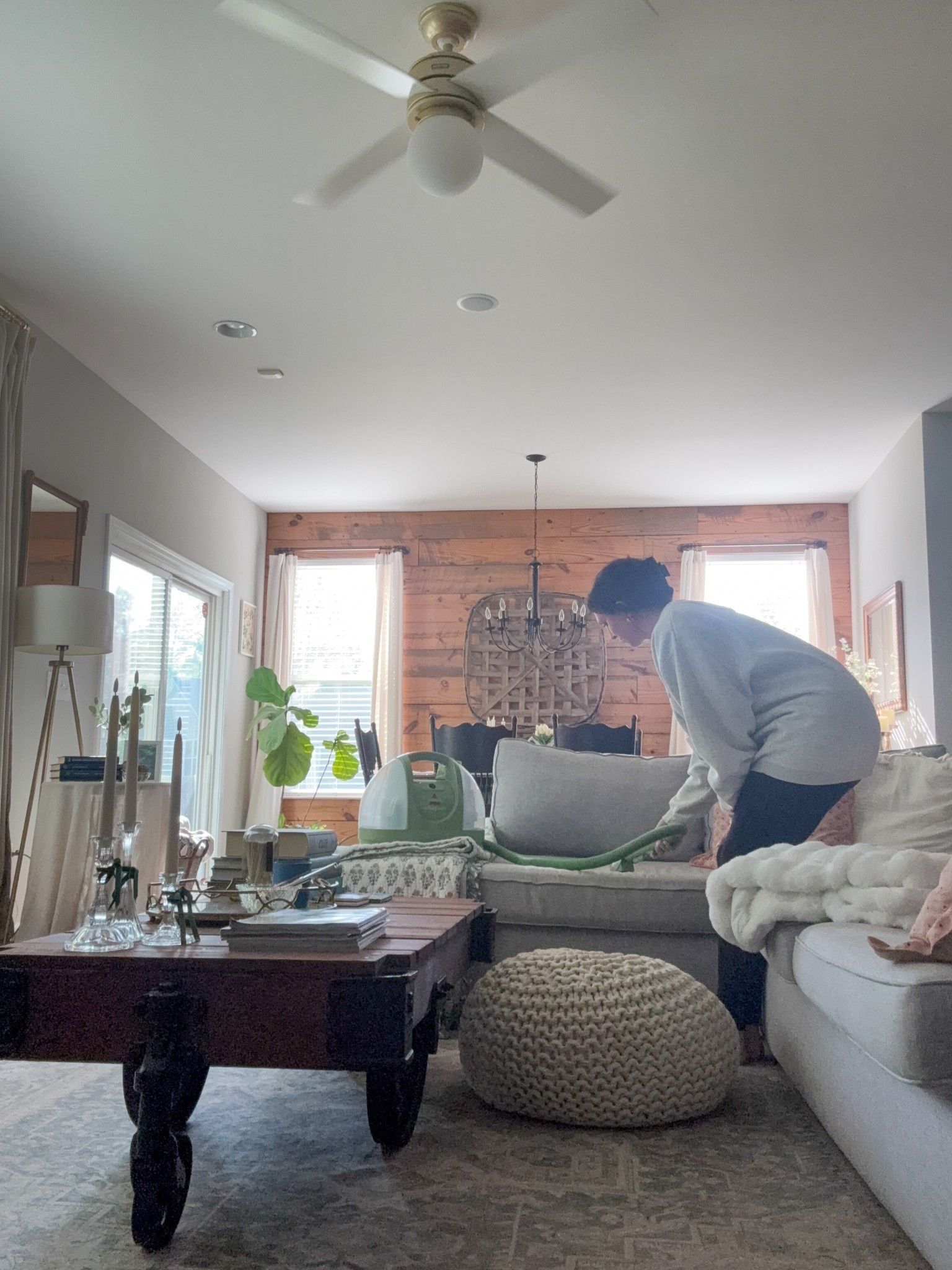 One my favorite purchases from March! Have steamed anything not moving. 

#LTKPets #LTKHome