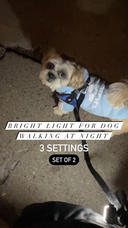 Bright white light for dog walking at night. 2 brightness settings and 1 red flashing light setting. Rechargeable. Set of 2 is a great value.

Walk your dog safely at night 

#LTKkids #LTKfamily #LTKbaby