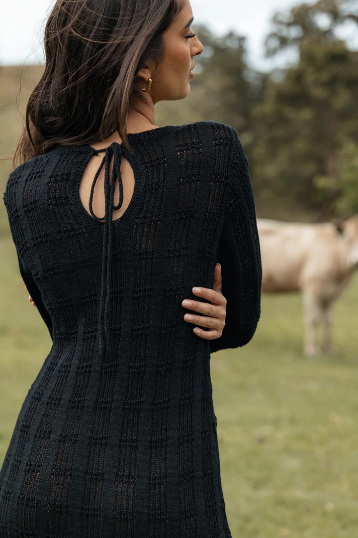 Colter Long Sleeve Maxi Dress - Black | Petal & Pup (US)