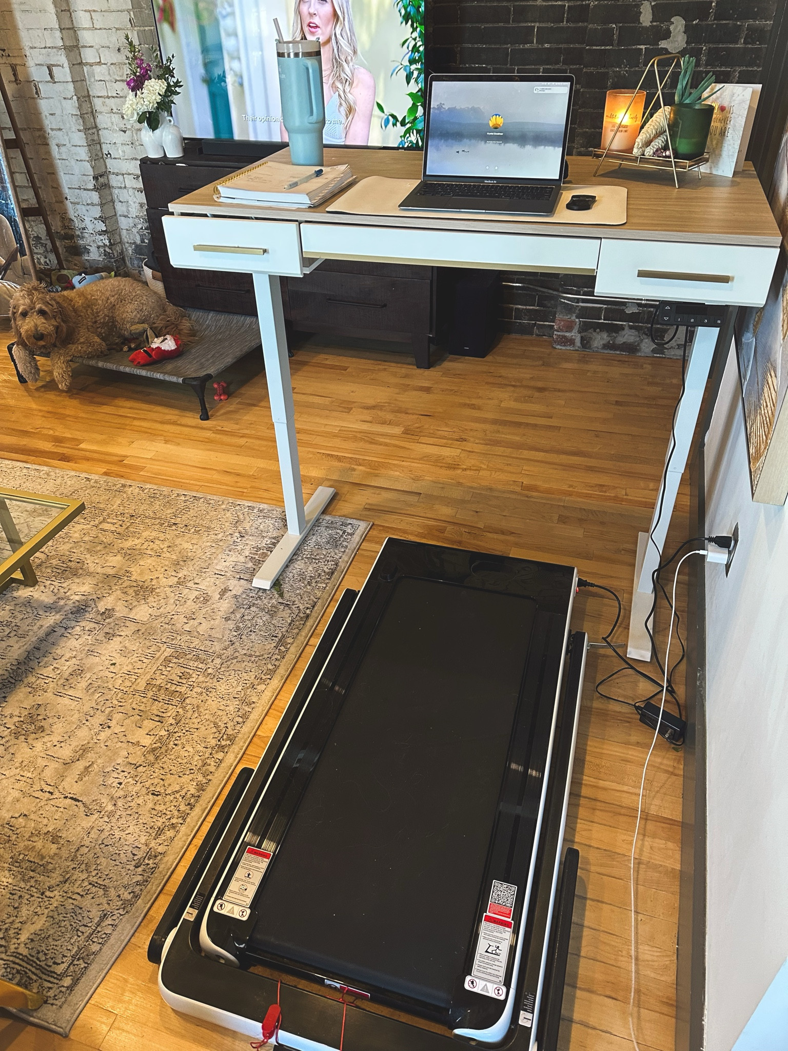 My favorite office set up for staying active 

#LTKhome #LTKsalealert #LTKfitness