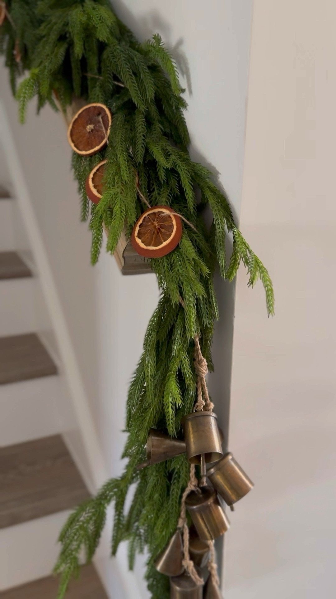 Real Touch Faux Norfolk Pine … curated