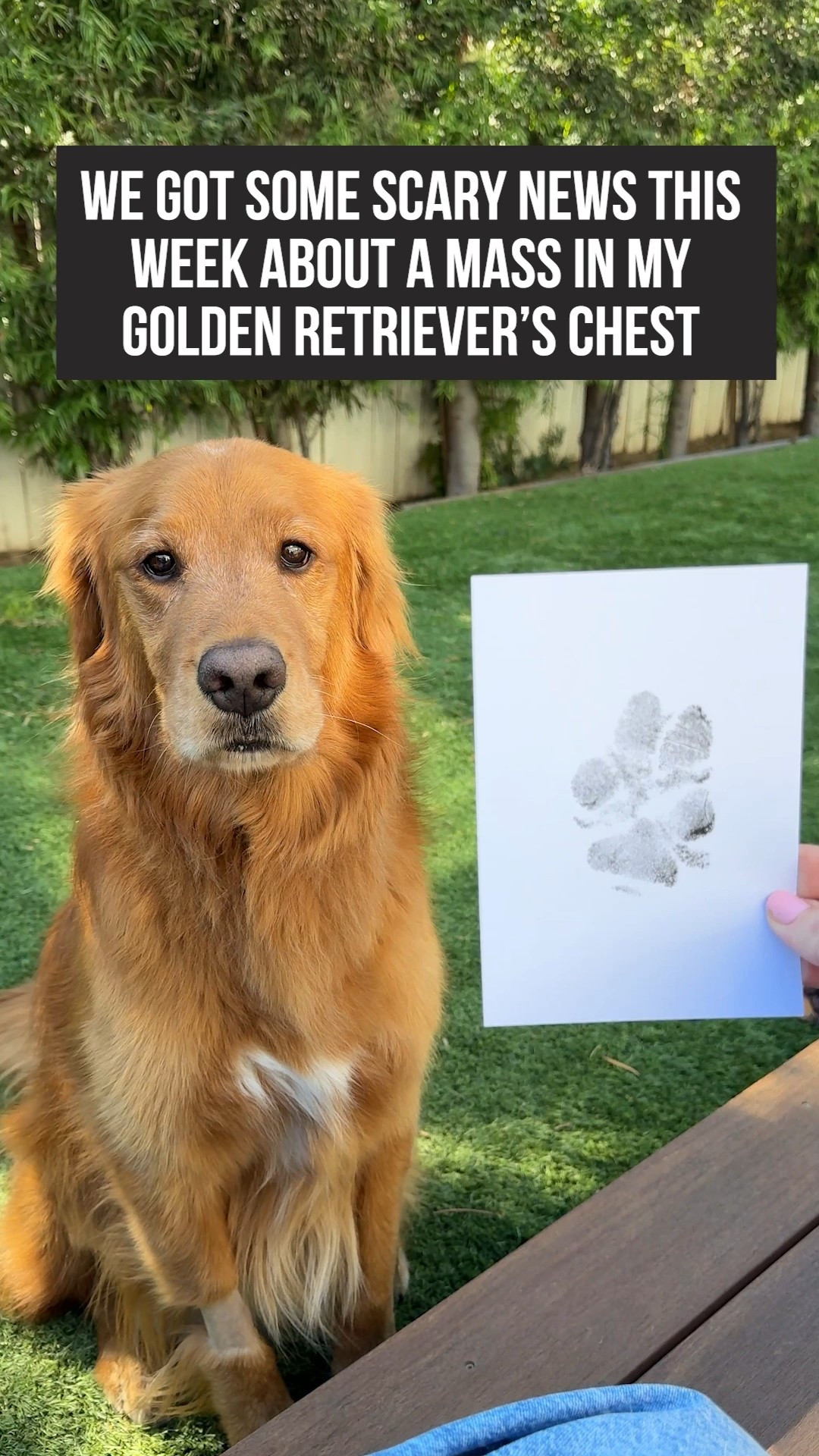 They won't always live forever, but we deserve to have a piece of them that does. 🐾💛
We made a paw print keepsake for our sweet Benji—We got some scary news from his vet and we aren't sure what's going on with him. So, we felt like this was the best time to capture his precious paws while he was still feeling well. If your dog is your whole heart, you get it. It’s more than a print

🐶 Dog mom must-haves
🖐️ DIY paw print ideas
💖 Celebrating our pets
📸 Memory-making with dogs
#DogKeepsake #PawPrintCraft #DogMomLife #DogLoverForever #FurBabyLove #PetMemories #DogParentsOfTikTok #SpoiledDogLife #BondWithYourDog #DogMomentCaptured #PawfectMemories #PetLoveStory 

#LTKSaleAlert #LTKPets #LTKFindsUnder50