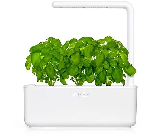 Click & Grow 3 Pod Indoor Smart Garden w/ BasilPods | QVC