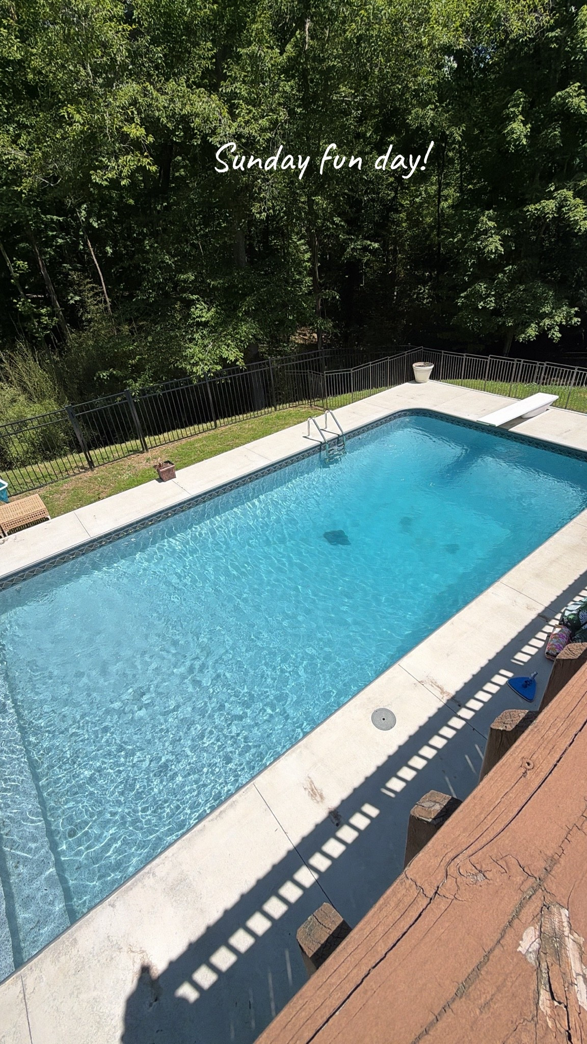Loving my poor boy this summer, he’s putting in the extra work 🤣￼

#LTKSeasonal #LTKHome #LTKSwim