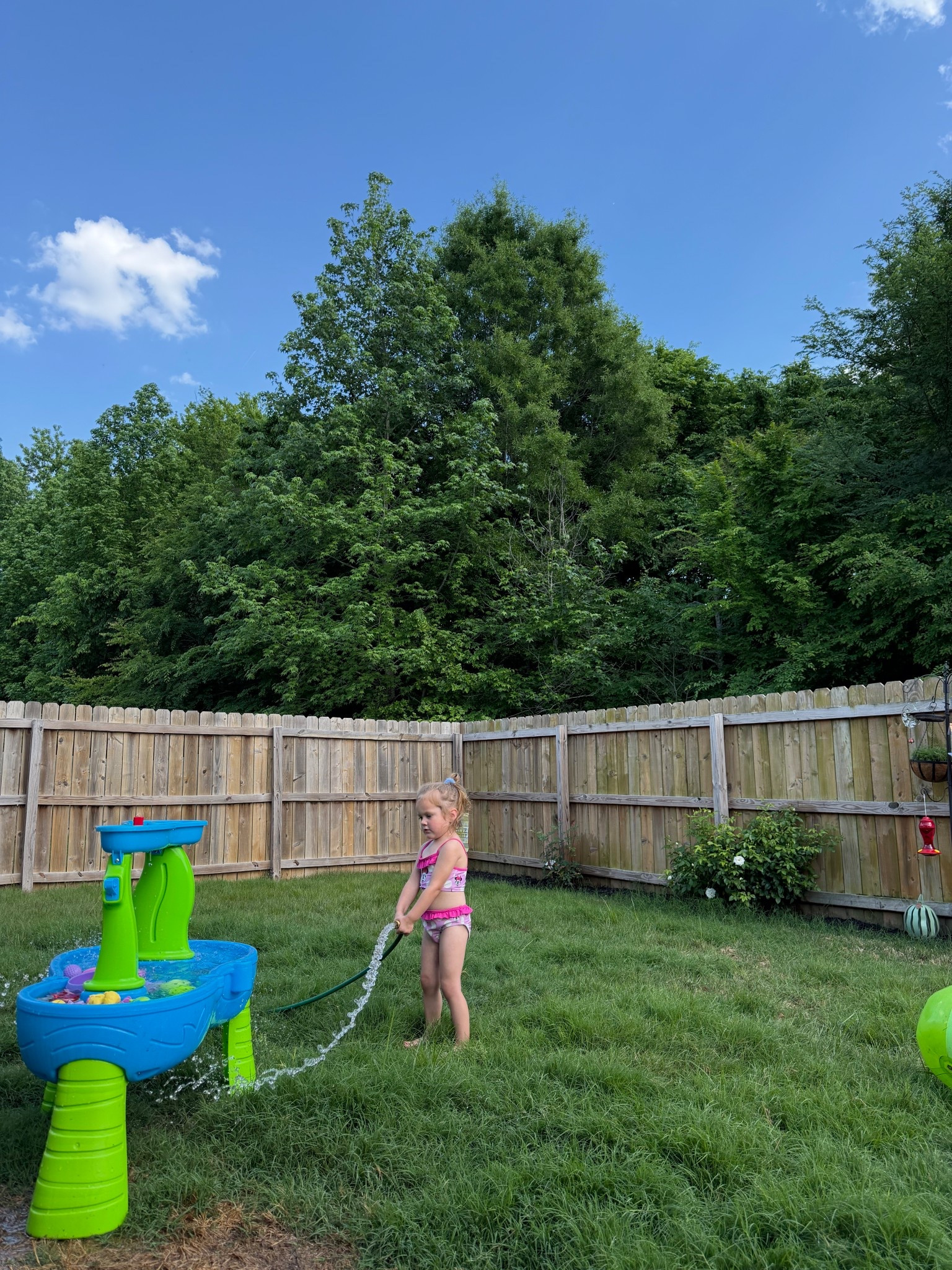 Toddler water table, outdoor play, backyard must haves, backyard decor, bird feeder, bird house, Lowe’s

#LTKHome #LTKmomlife #LTKKids