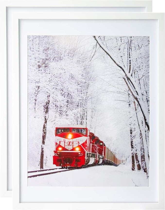 Egofine 18x24 Solid Wood Poster Frames Matted for 16x20 White - Acrylic Plexiglass Front for Wall... | Amazon (US)