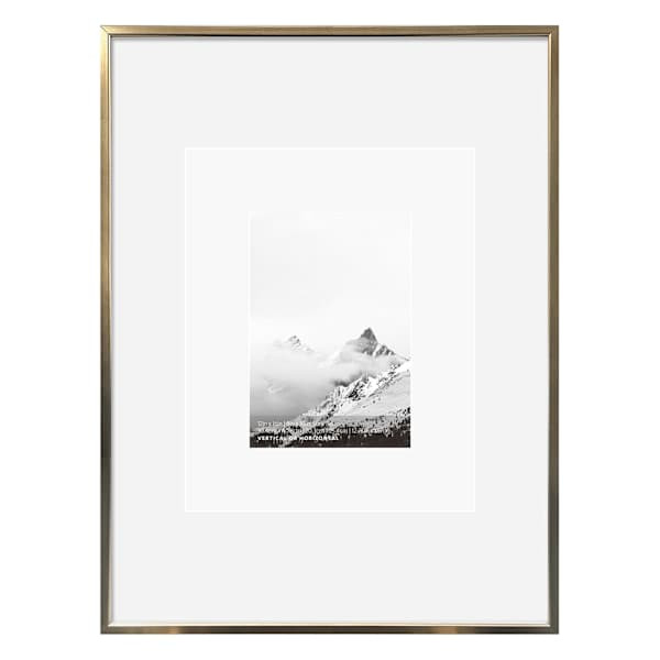 Champagne Matted Wall Frame At Home, Metallic, Aluminum | At Home