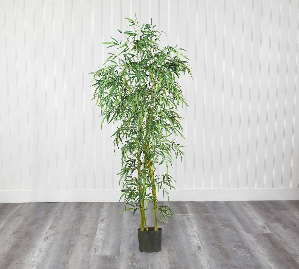Faux Slim Bamboo Silk Tree | Pottery Barn (US)