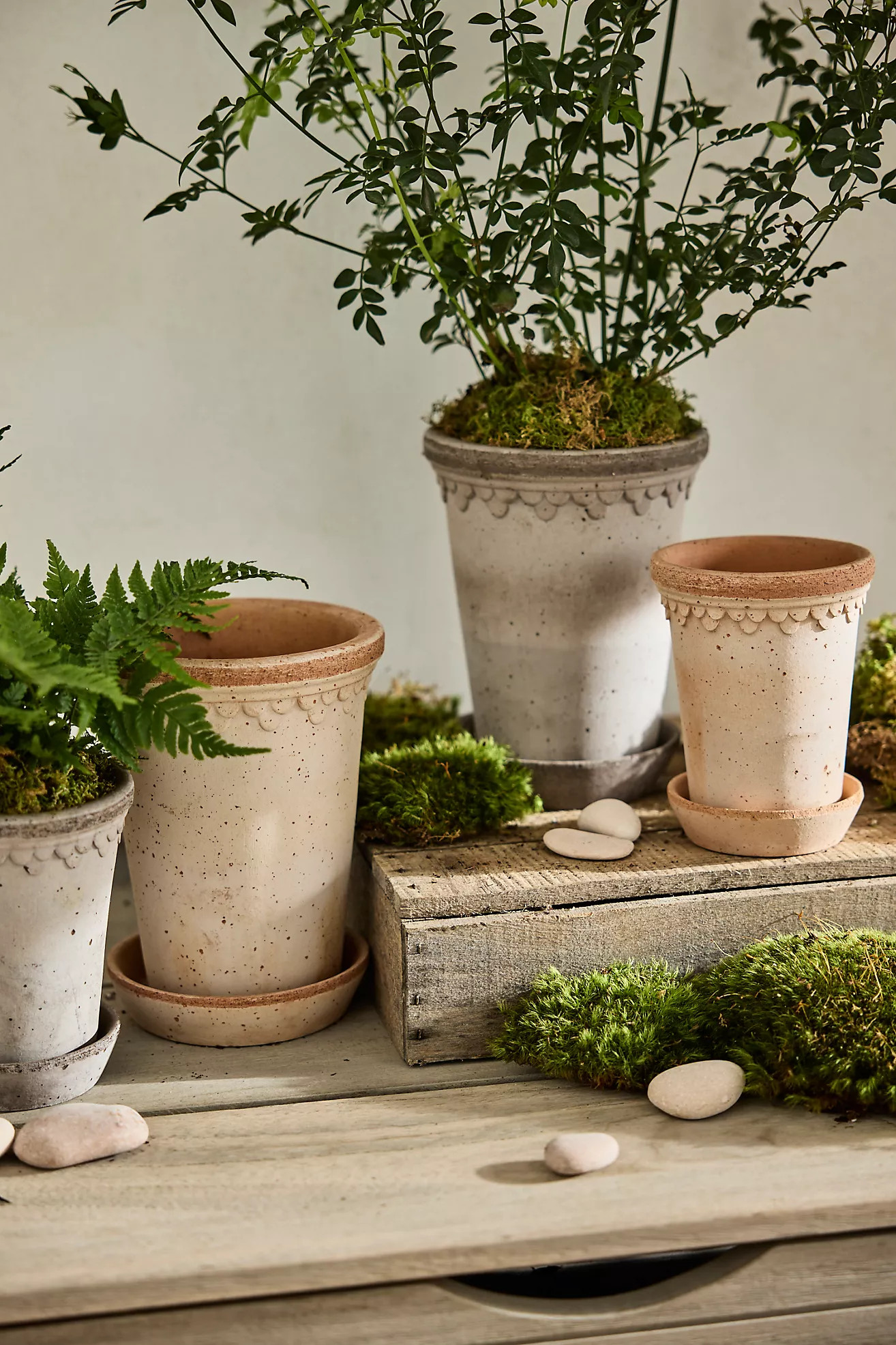 Bergs Tall Copenhagen Terracotta Pot + Saucer Set | Terrain