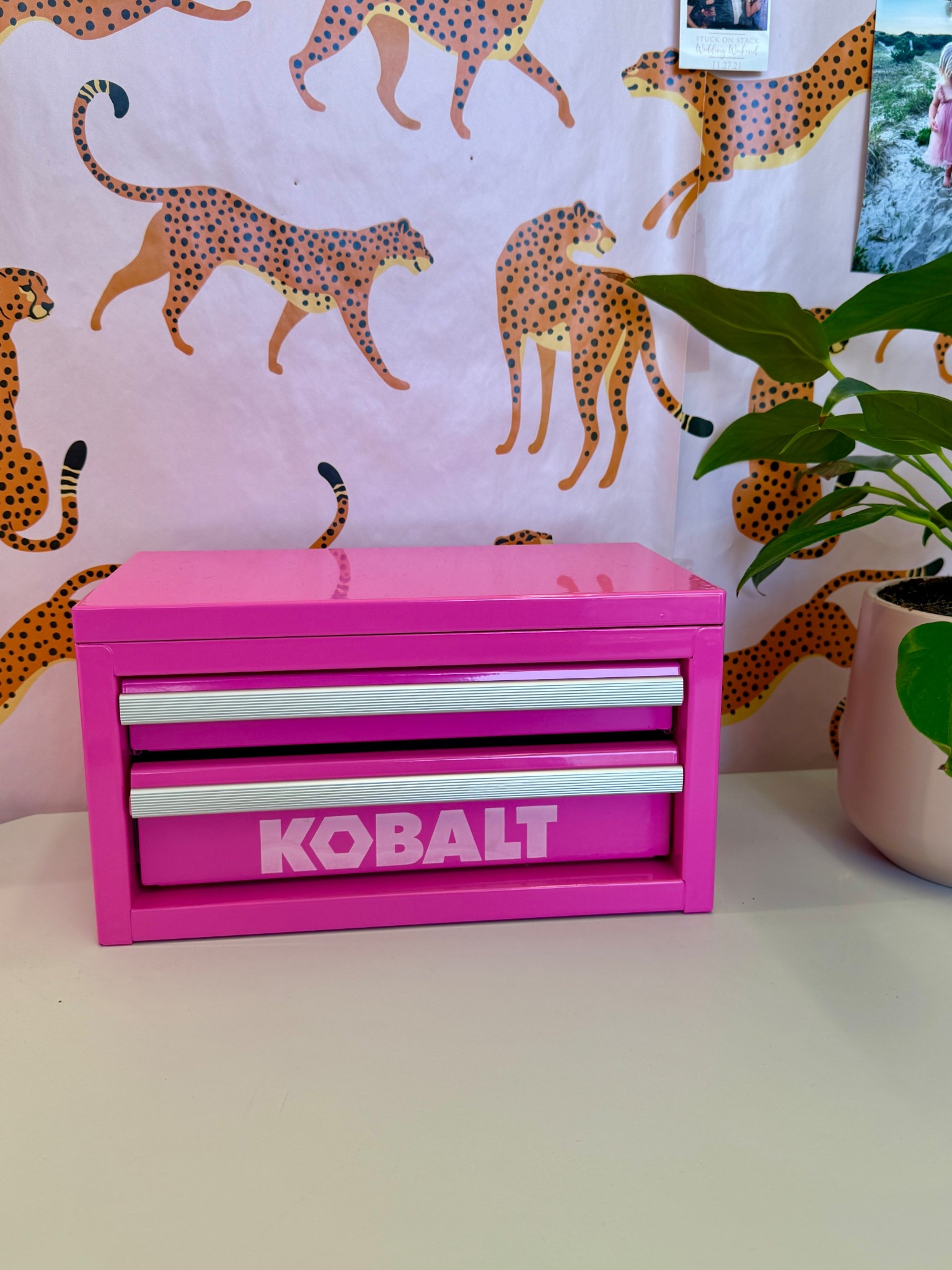 When you work in the home improvement industry, but you’re a girly girl

Home improvement, tools, toolbox, home refresh


#LTKFindsUnder100 #LTKFindsUnder50