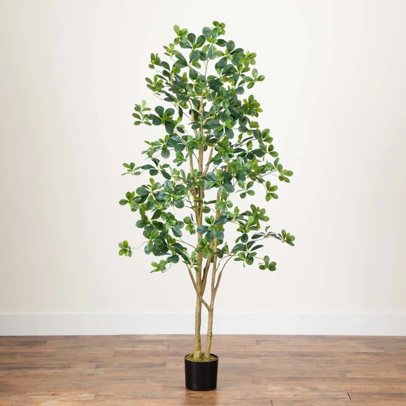 Primrue 6ft. Artificial Black Olive Tree | Wayfair | Wayfair North America