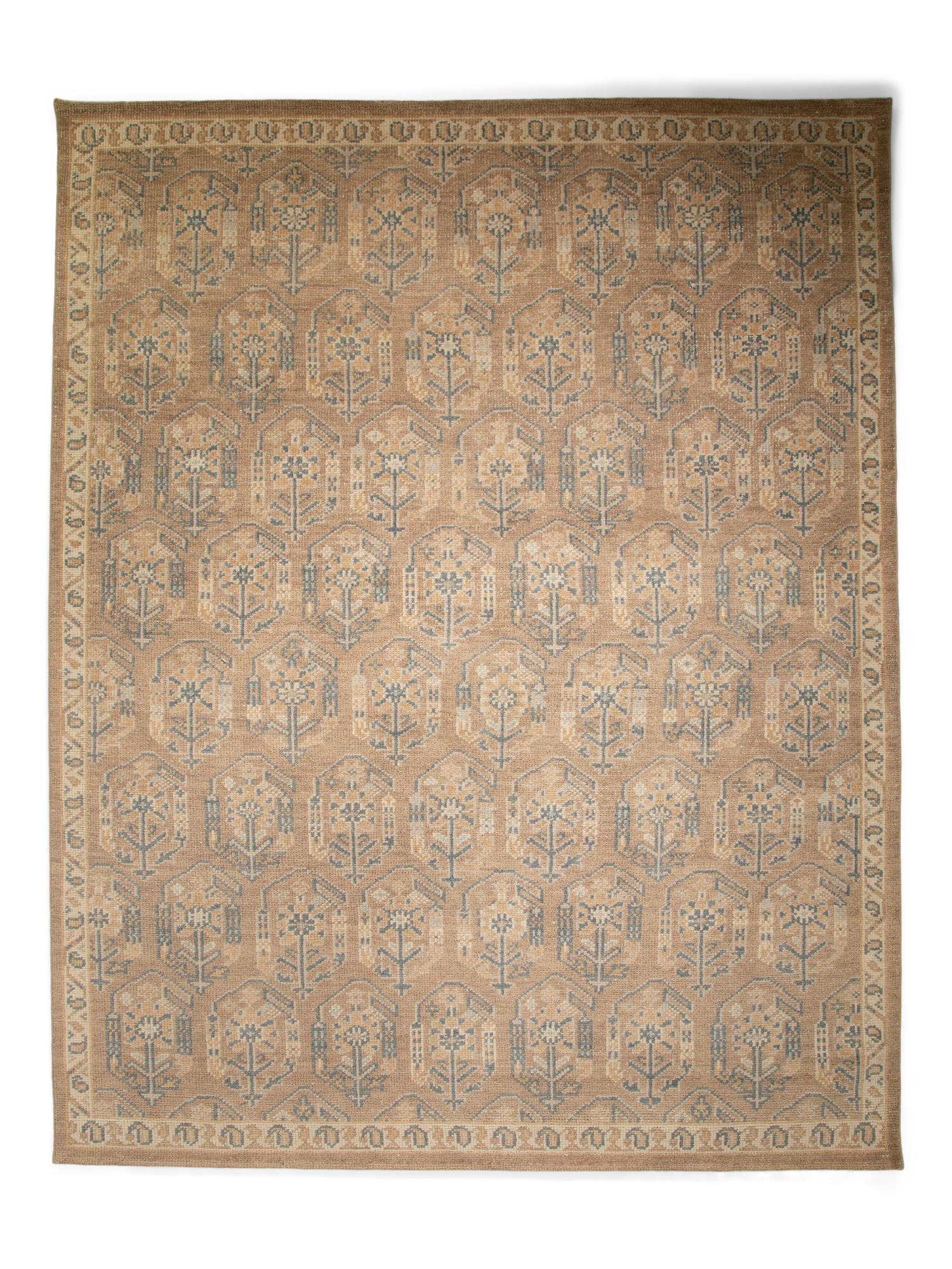 8x10 Wool Tuscany Paisley Fine Hand Knotted Area Rug | TJ Maxx