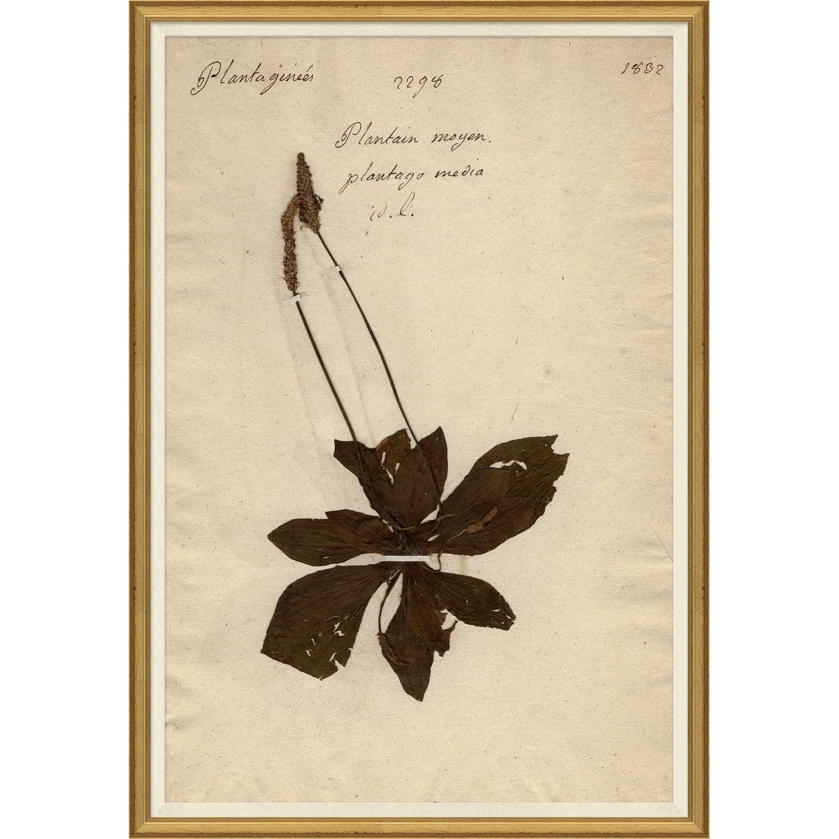 $507 | Perigold