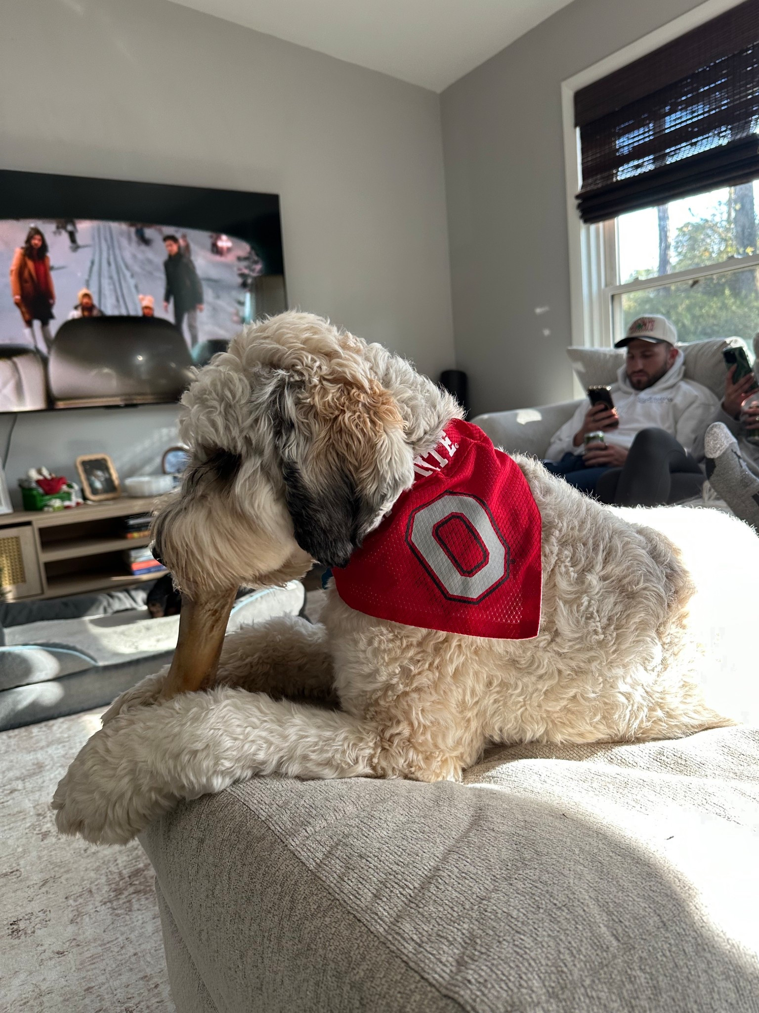 go bucks! ❤️🌰

#LTKGiftGuide #LTKActive #LTKHoliday