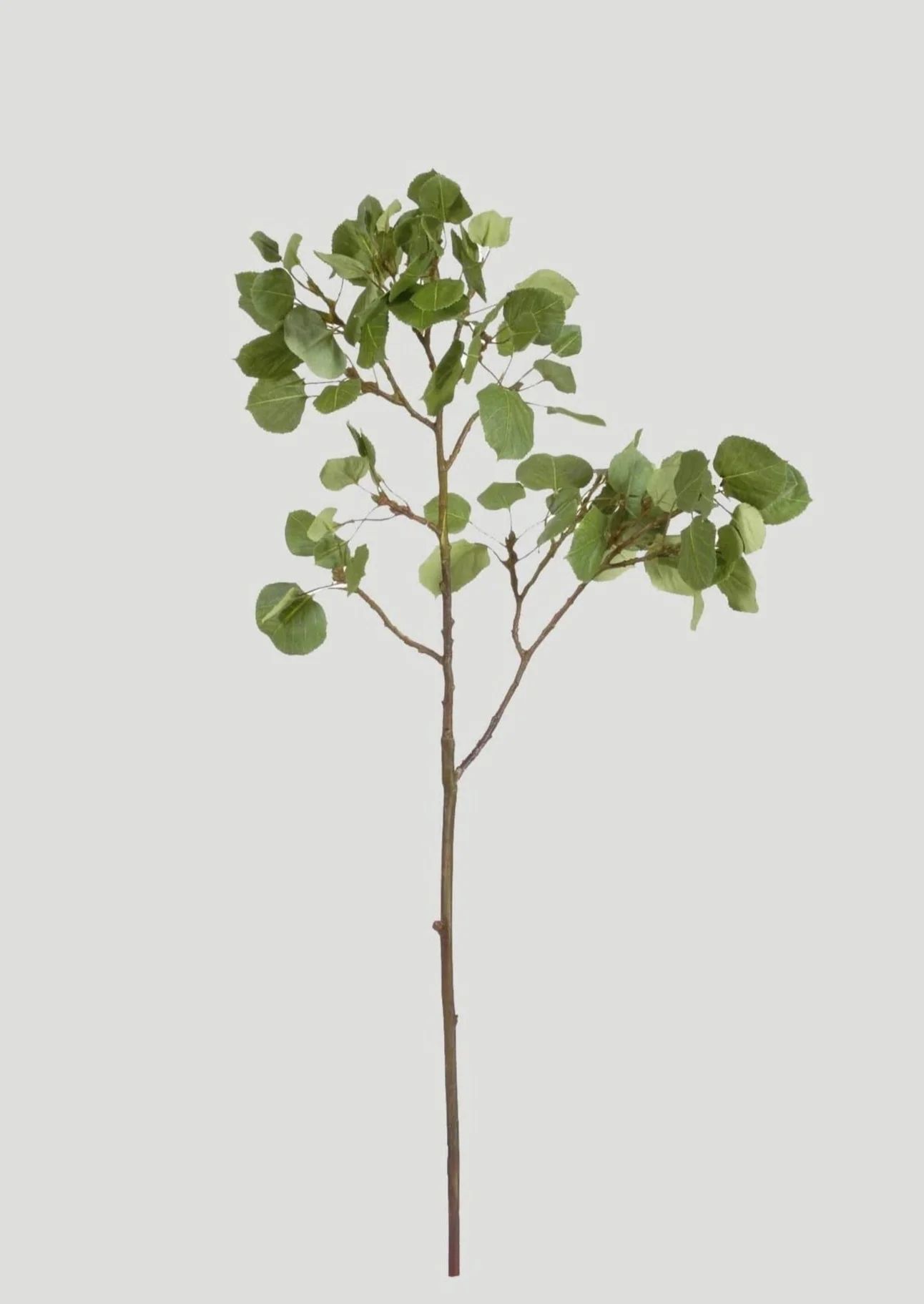 Green Aspen Tree Branch | Faux Greenery Stems & Branches | Afloral.com | Afloral