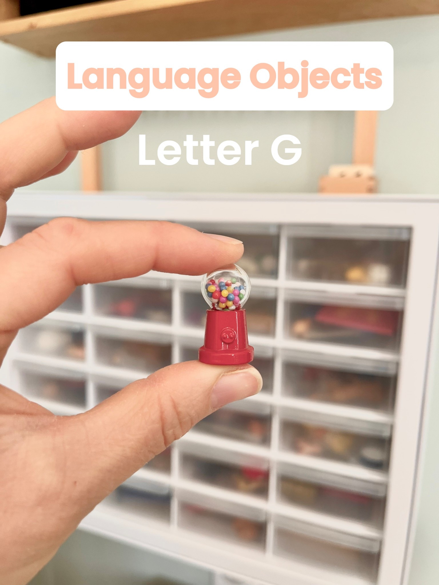 Here is a list of objects we keep in our letter G language Cabinet

Gumball Machine, Goldfish, Gorilla, Glasses, ghost, gift, garland, golf club, and goat

#montessori #montessorilanguage #montessorilanguagematerials #languageobjects #montessorihomeschooling #montessorihomeschool #homeschooling #homeschool #homeschoolsupplies #schoolsupplies #learningathome #learningtoread #preschoolsupplies #kindergartensupplies #tinyobjects  #alphabetboxes #miniatures #dollhouseaccessories