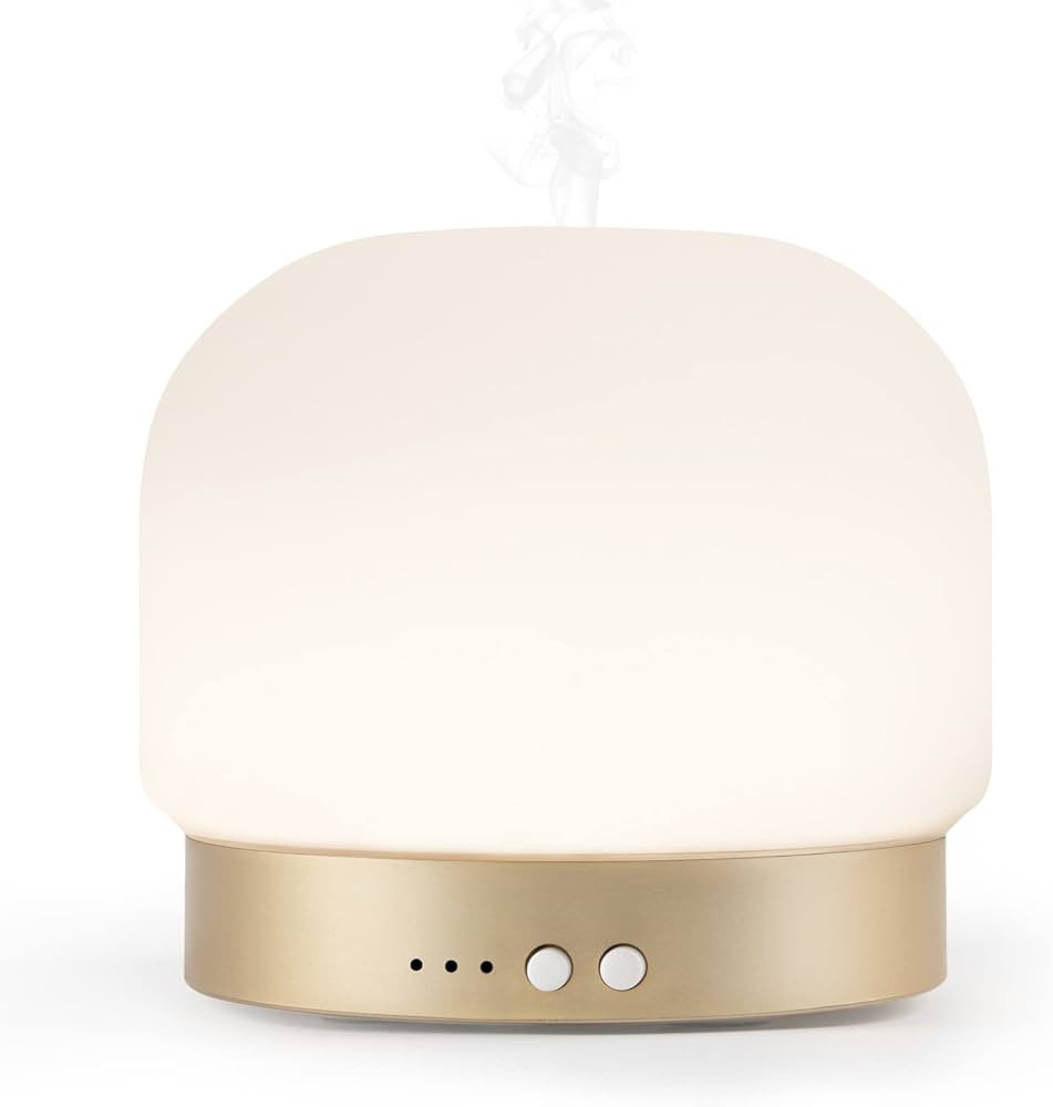 ZEIGGA LAB Essential Oil Diffusers for Large Room 280ml Aromatherapy Diffuser for Home - Glass Co... | Amazon (US)