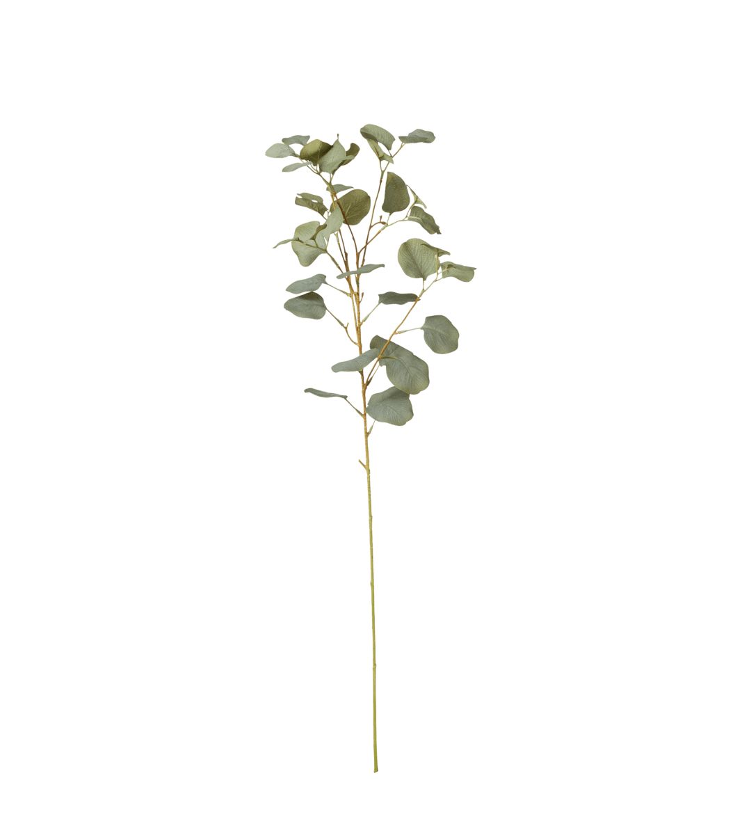 Faux Single Eucalyptus Stem - Pale Green | OKA US