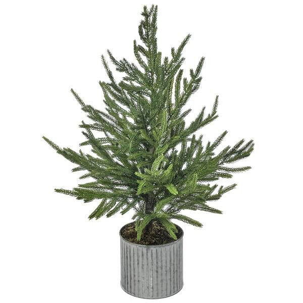 28" Potted Norfolk Pine Tree - 28" | Bed Bath & Beyond