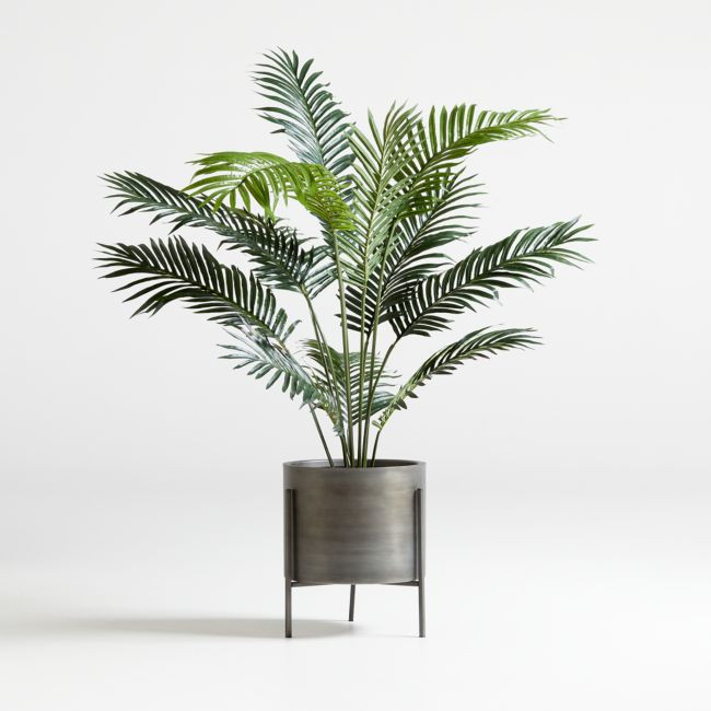 5' Faux Paradise Palm Plant | Crate & Barrel