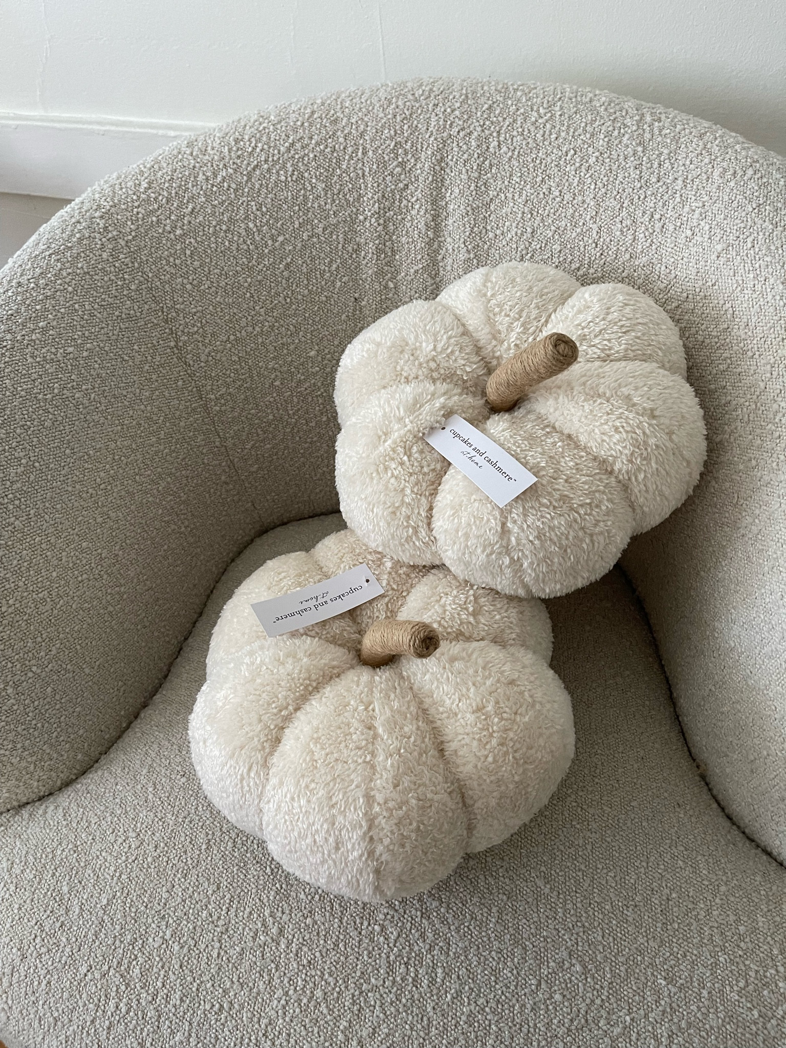 Tj Maxx Pumpkin Throw Pillows 🎃#LTKFind

#LTKSeasonal #LTKhome