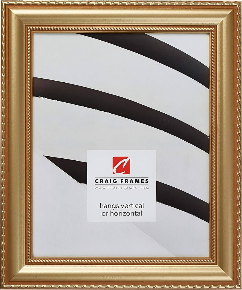 Craig Frames Victoria, Ornate Gold Picture Frame, 20 x 30 Inch | Amazon (US)