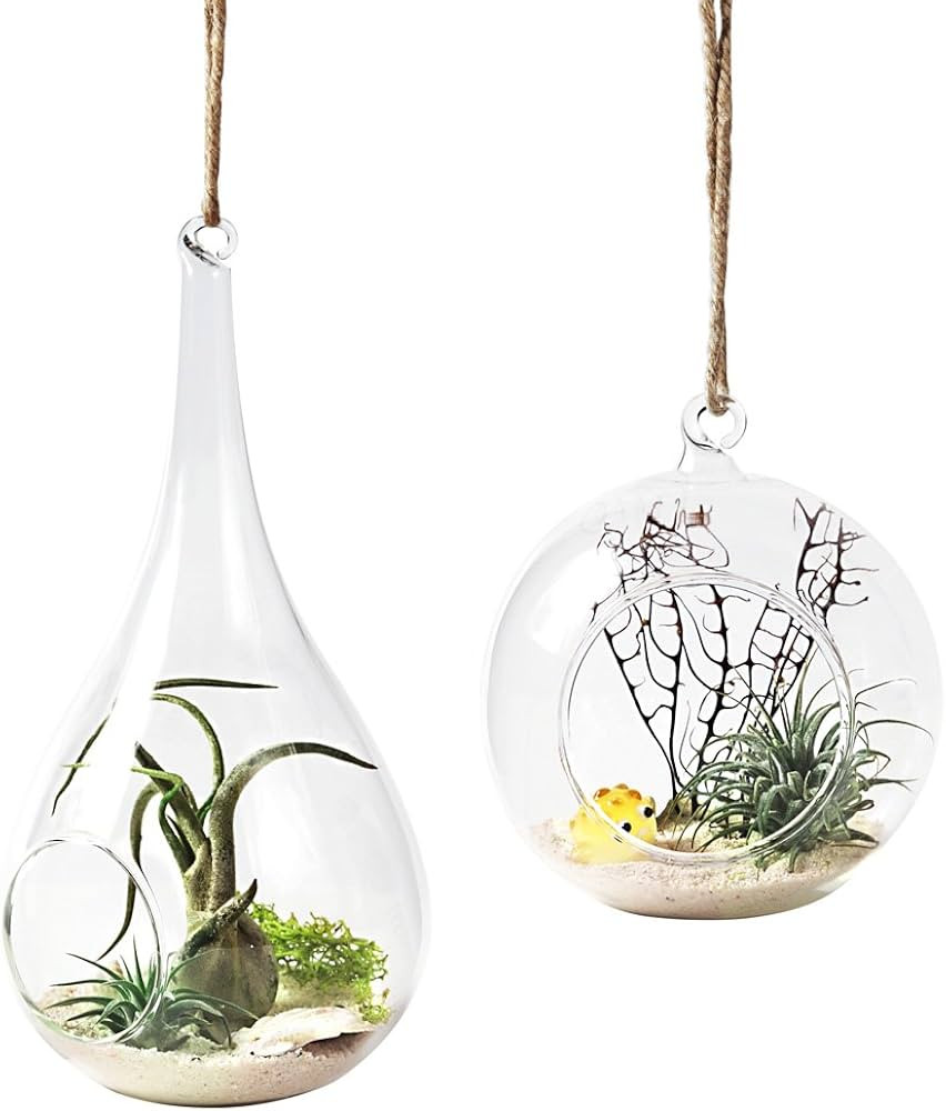 Mkono 2 Pack Glass Hanging Planter Air Fern Holder Terrarium Plants Hanger Vase Home Christmas De... | Amazon (US)
