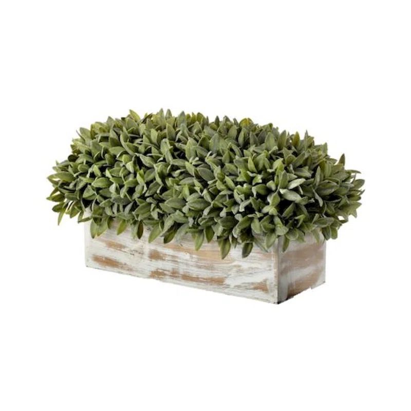 8'' Faux Boxwood Grass in Wood Pot | Wayfair Professional