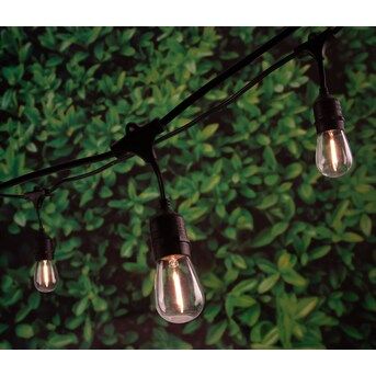 Portfolio  24-ft 12-Light-Shade Plug-in White Indoor/Outdoor LED Edison String Lights | Lowe's