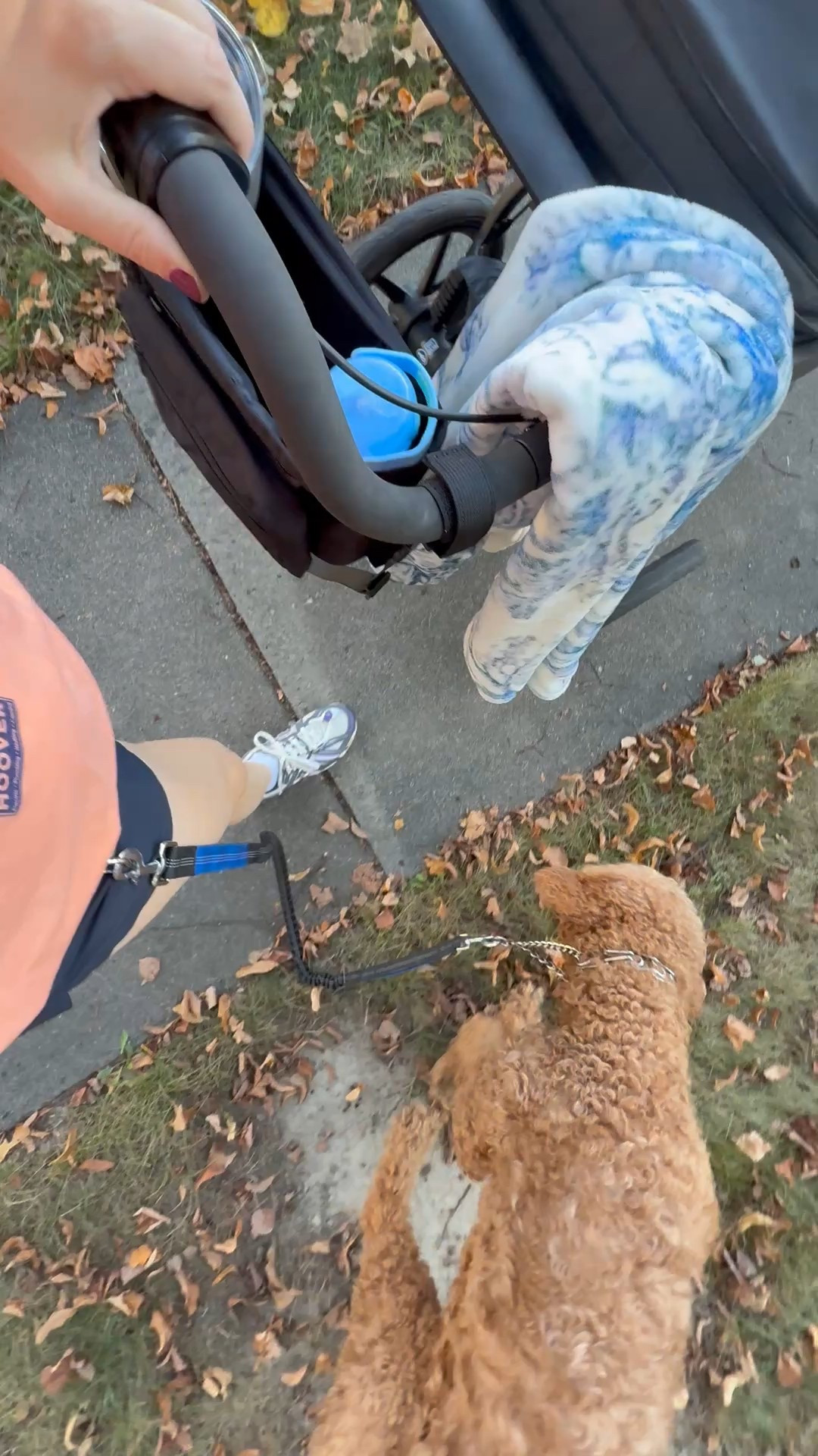 crisp morning, fall walks with baby & dog! 

#LTKFamily #LTKBaby #LTKFallSale