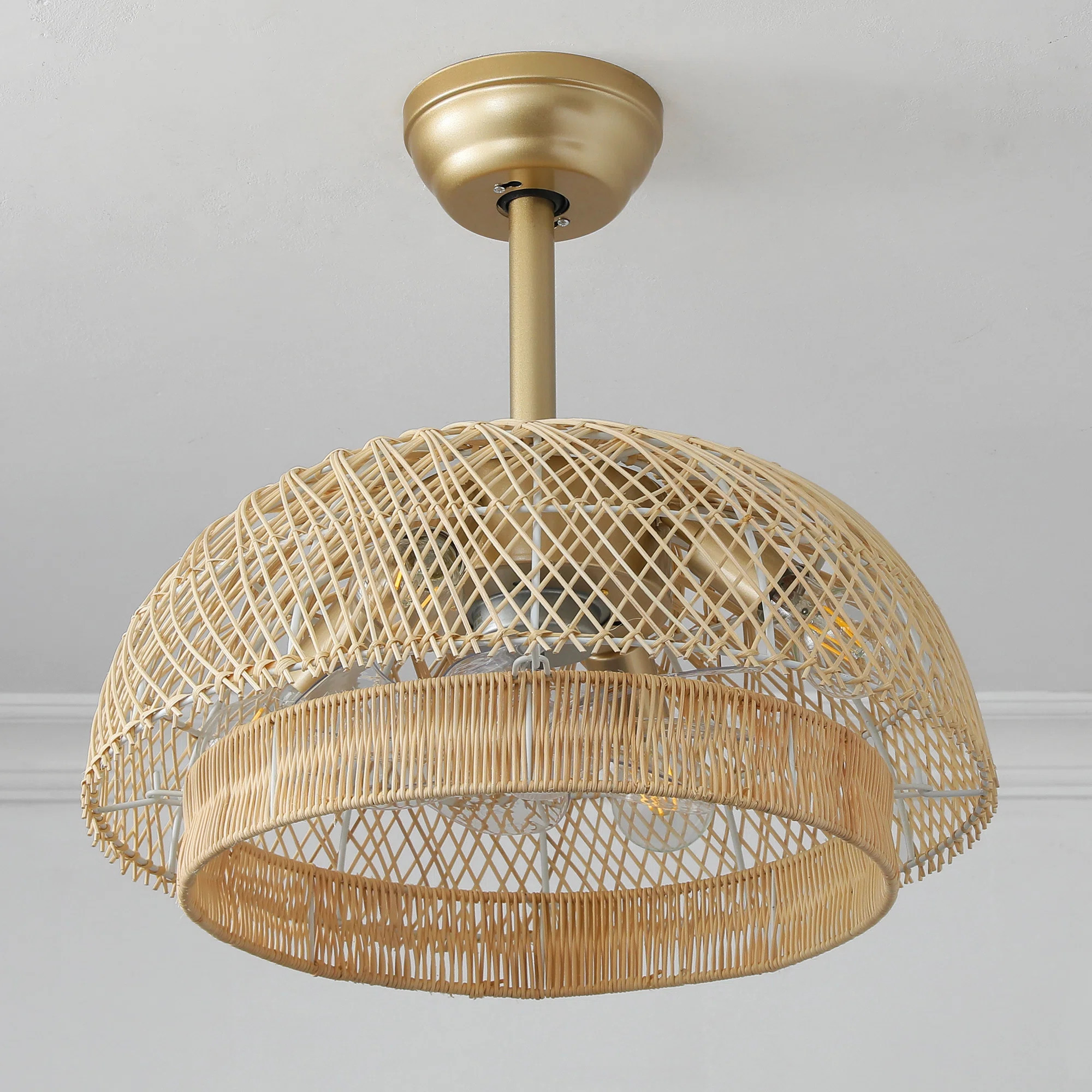 Traditional Cage Ceiling Fan with Light | Wayfair North America