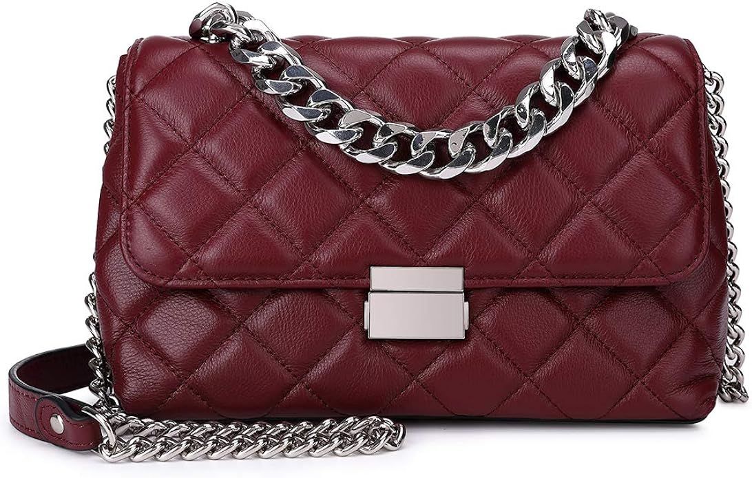 DORIS&JACKY Women's Quilted Leather Handbags Classical Shoulder Crossbody Purse with Metal Chain ... | Amazon (US)