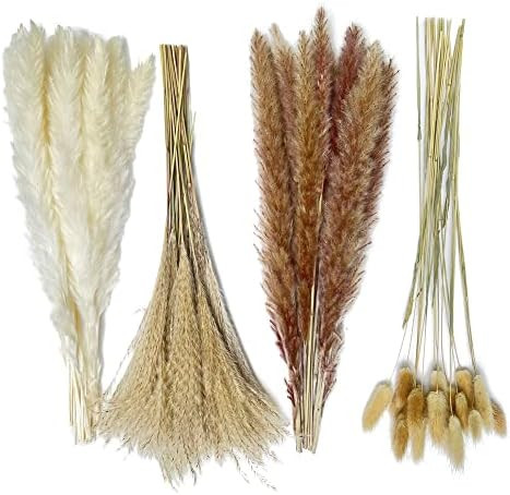 Pampas Grass Decor 80 pcs 17.5 inch Natural Dry Pampas - 15 Pcs White Pampas & 15 Pcs Brown Pampa... | Amazon (CA)