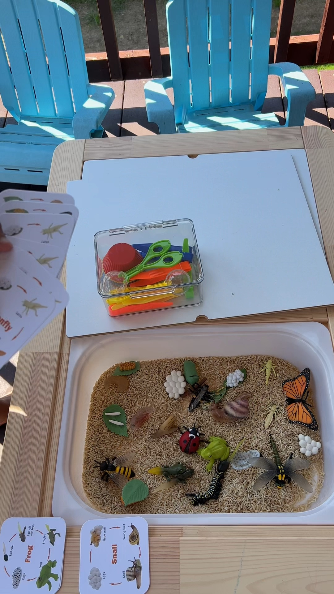 Summer activities for kids,simple sensory bin set up.

Homeschooling, toddler activities, summer activities, Montessori, Sensory play, Sensory bib, Stem 

#LTKFind #LTKfamily #LTKkids