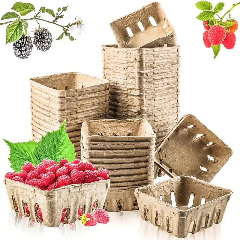 10 Pcs Pulp Fiber Berry Basket, Small Farmers Market Produce Basket Containers, Kitchen Supplies ... | Temu Affiliate Program