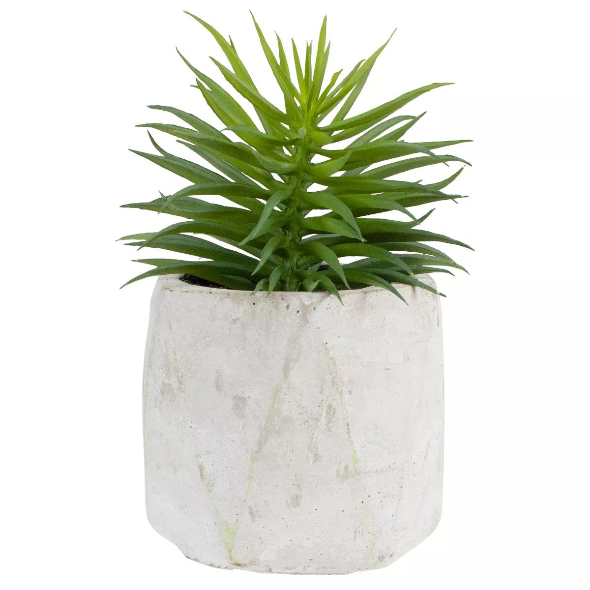 Northlight 5.5" Potted Artificial Succulent in Cement Pot | Target